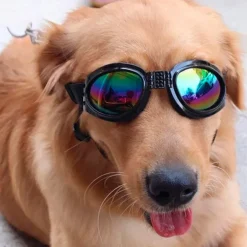 SportyDog hundesolbriller