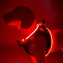 Step-in hundesele med LED-lys