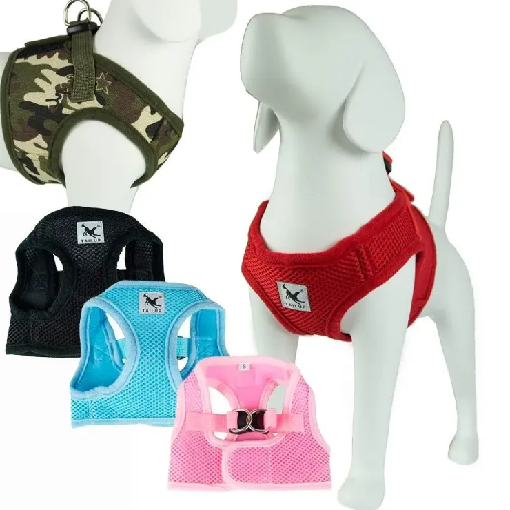 Step in sele | Tail Up