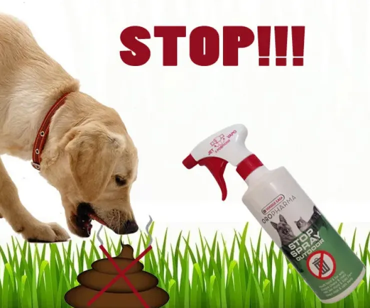 STOP Spray outdoor