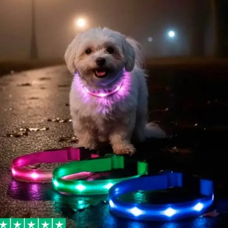 The Dots LED Collar | Halsbånd med LED lys