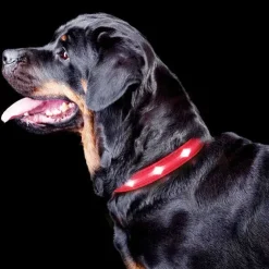 The Dots LED Collar | Halsbånd med LED lys