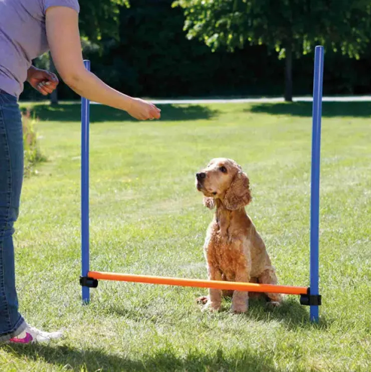 Trixie Agility Hurdle | Agility forhindring