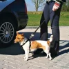 Trixie Bilsele | Sikkerhedssele i ét