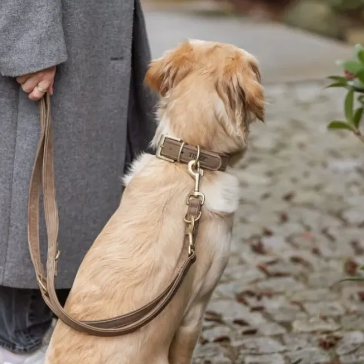 Trixie Pure Hundesnor| Brun læder