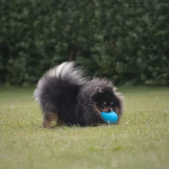 Trixie Roly Poly Snack æg