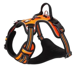 TrueLove Explosion Proof | LUKSUS Hundesele