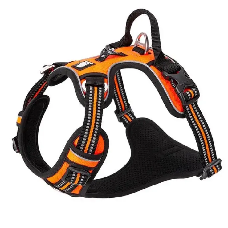 TrueLove Explosion Proof | LUKSUS Hundesele