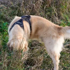 TrueLove Outdoor Hundesele | OUTLET