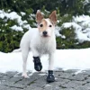 Walker Active Protective boots | hundestøvler 2 stk.