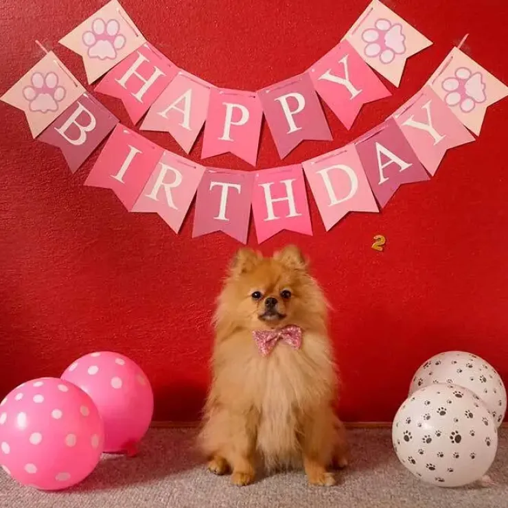 WOOF fødselsdagspakke PINK