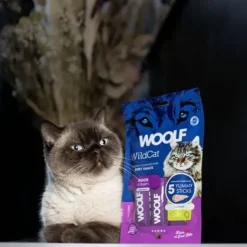 Woolf Wildcat Cream Godbid | 5 Sticks