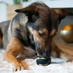 Zeus Chewchasers Treat Ball | 7,5cm