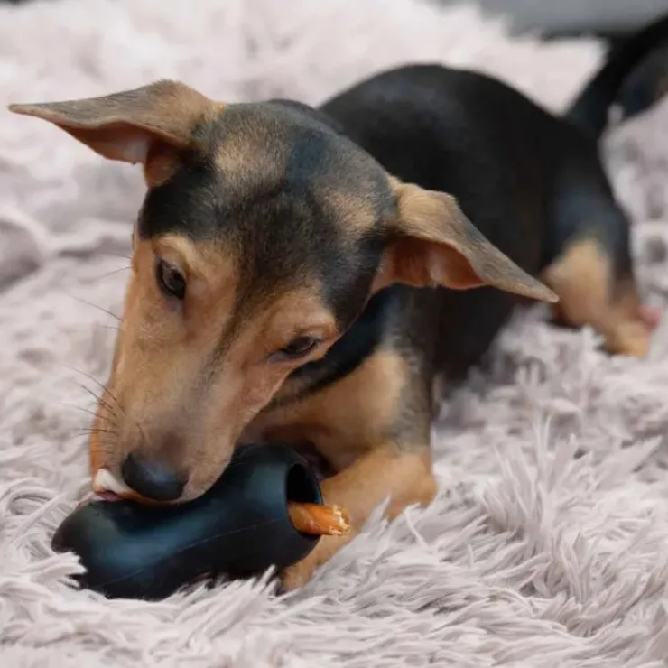Zeus Chewchasers Treat Peanut